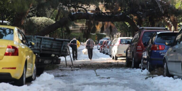 Σκρέκας: «Λιγότερα από 1.000 τα νοικοκυριά που δεν έχουν ρεύμα – Πιθανή η αποζημίωση στους πληγέντες
