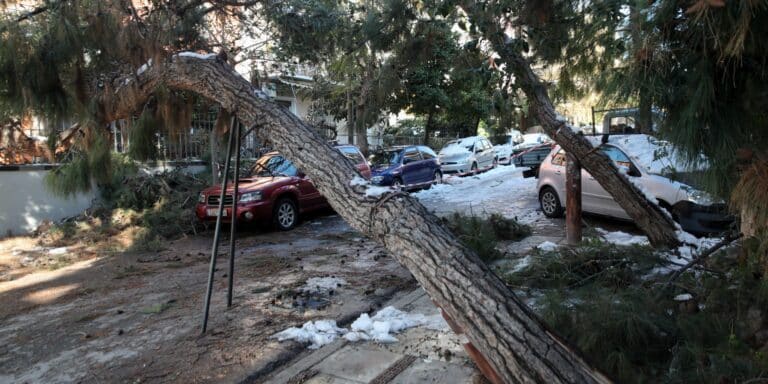 Αποζημιώσεις από τον δήμο Αθηναίων σε ιδιοκτήτες οχημάτων που υπέστησαν ζημιές από πτώσεις δέντρων (εικόνα)