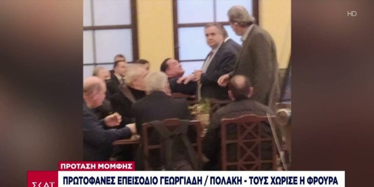 Στιγμιότυπο από τον άγριο τσακωμό Αδωνι – Πολάκη στη Βουλή