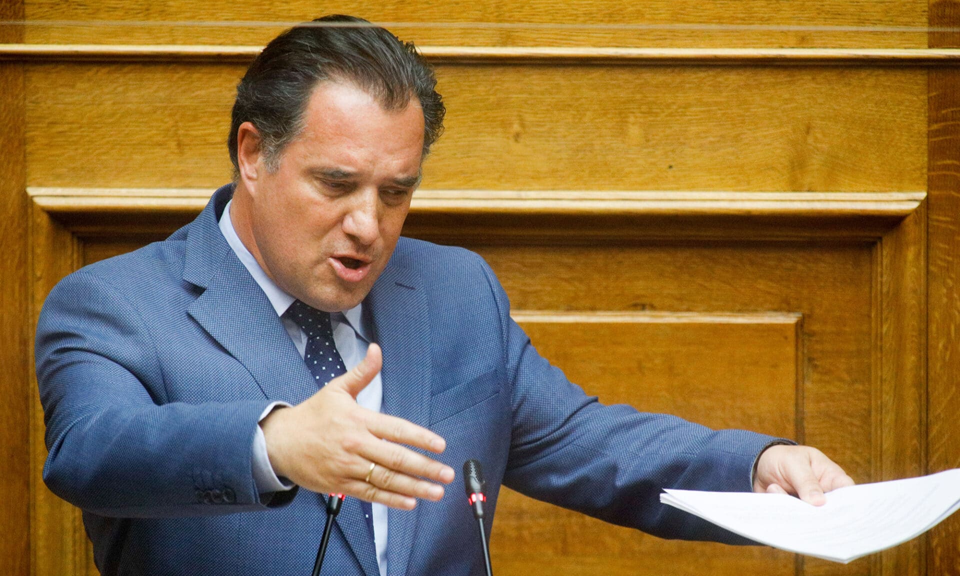 ο υπουργός Ανάπτυξης, Άδωνις Γεωργιάδης