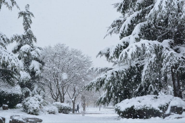 Κακοκαιρία «Ελπίς»: Έντονη χιονόπτωση σε Βόλο και Πήλιο – Μάχη να κρατηθούν οι δρόμοι ανοιχτοί
