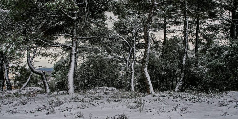 Κακοκαιρία Ελπίς: «Ψυγείο» η χώρα και την Κυριακή