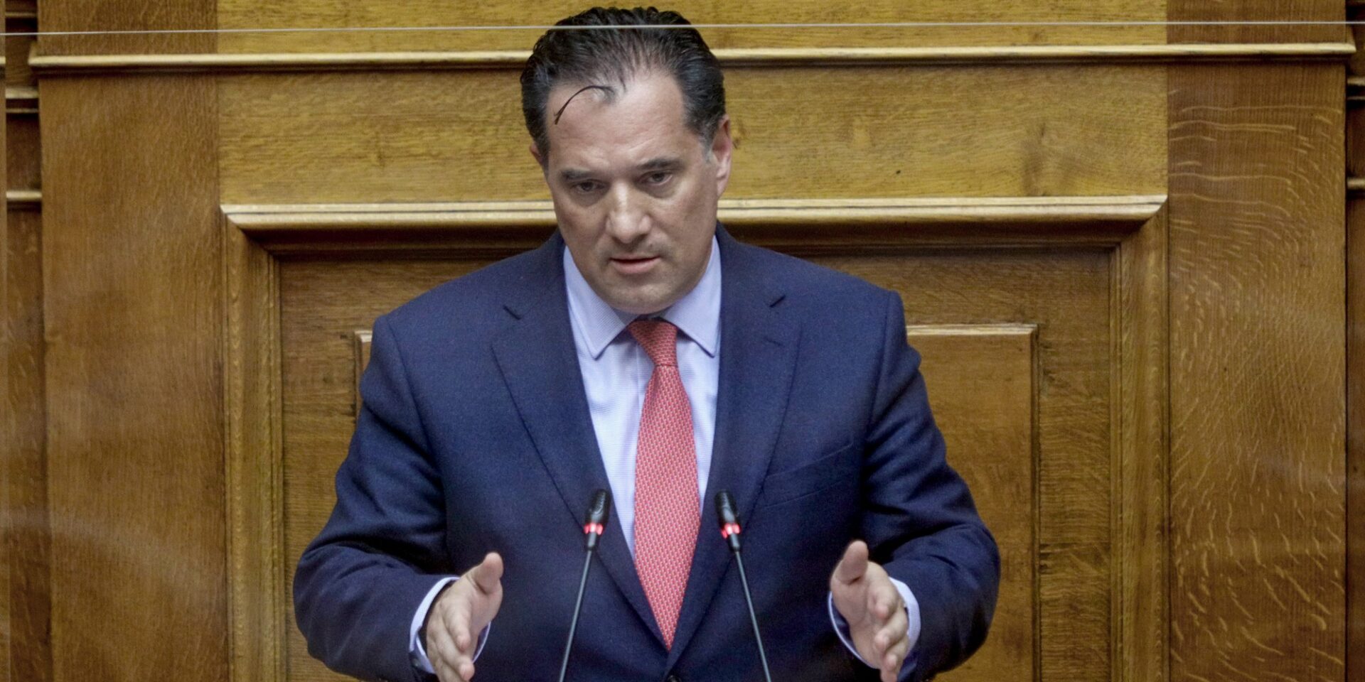 Ο Άδωνις Γεωργιάδης