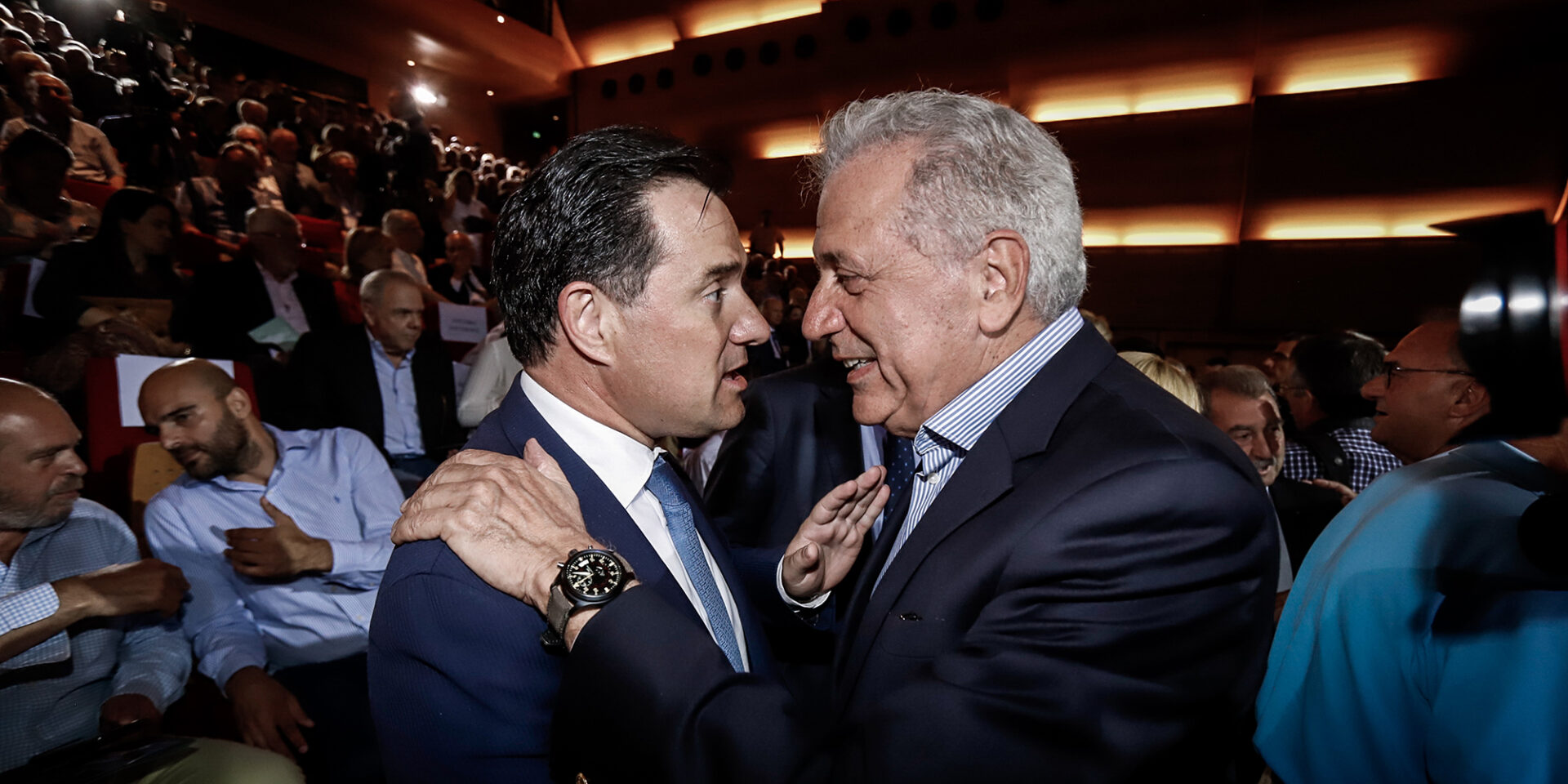 Άδωνις Γεωργιάδης και Δημήτρης Αβραμόπουλος