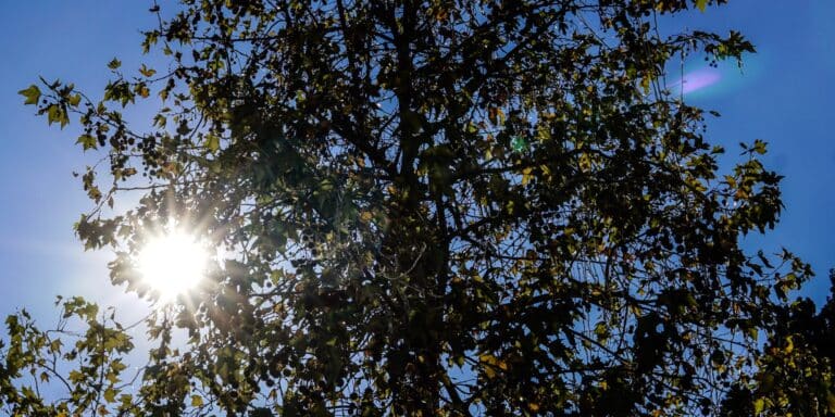 Καιρός: Ηλιόλουστη θα είναι η Δευτέρα με τοπικές βροχές στο Νοτιοανατολικό Αιγαίο