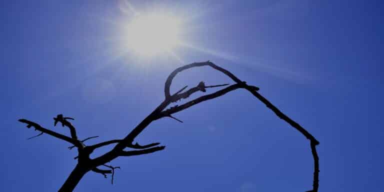 Καιρός: Αίθριος ο καιρός τη Δευτέρα – Πού θα υπάρχουν βροχές και καταιγίδες