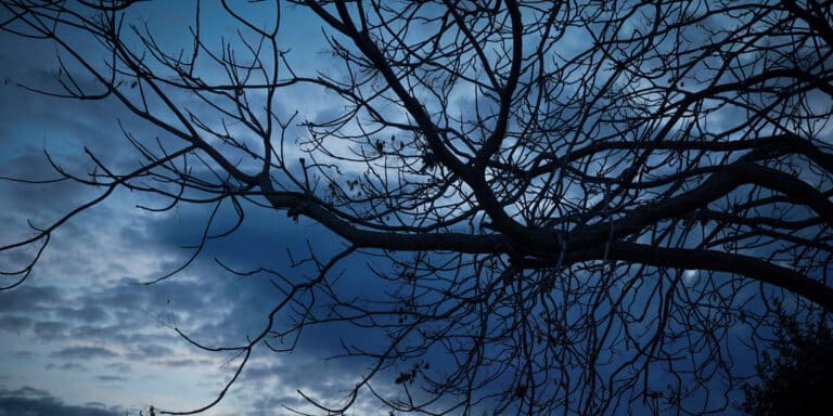 Βροχερός ο καιρός σε όλη τη χώρα την Παρασκευή – Ανεβαίνει ελαφρά η θερμοκρασία