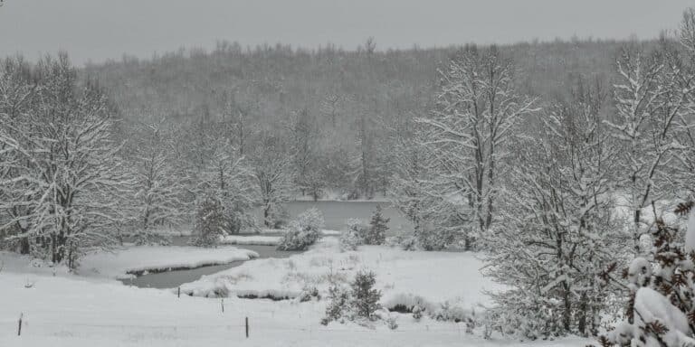 Λίμνη Πλαστήρα: Έσπασε ο πάγος και οι επισκέπτες βρέθηκαν να κολυμπούν στο παγωμένο νερό (βίντεο)