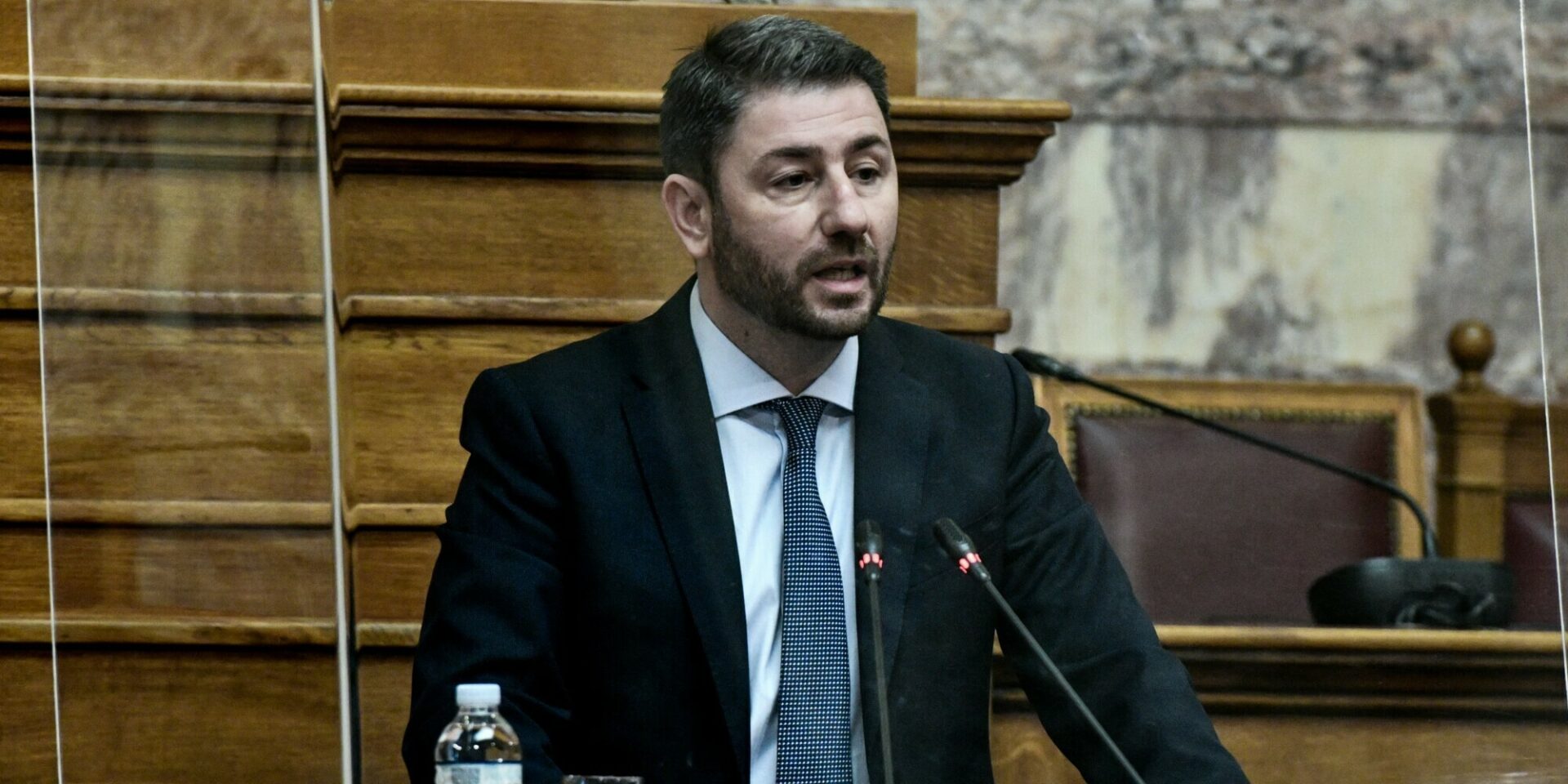 Ο Νίκος Ανδρουλάκης στη Βουλή