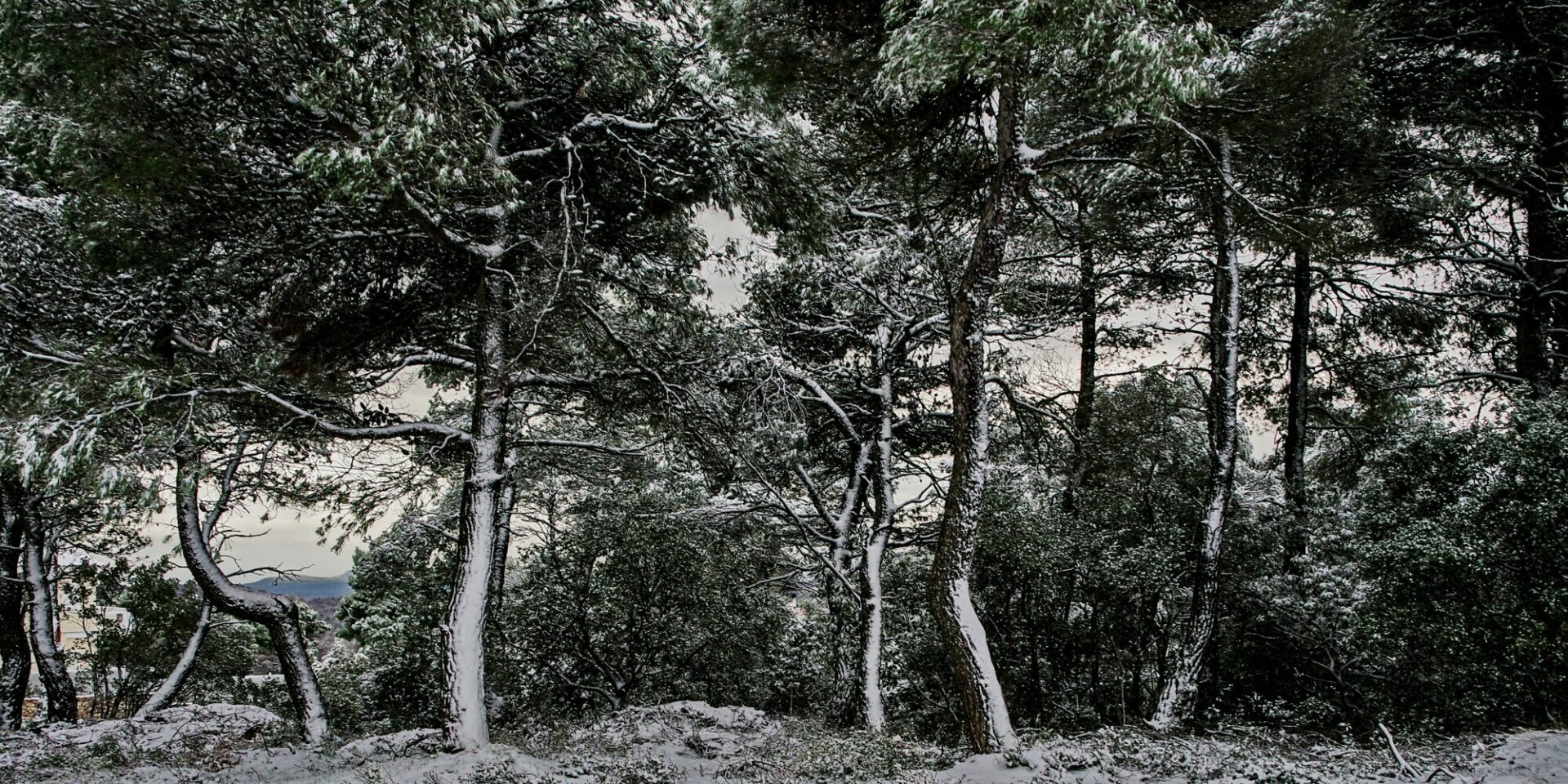 Χιόνια στην Πάρνηθα