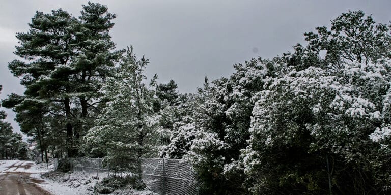Συγκλονίζει κάτοικος από το Ντράφι Αττικής: «Κρυώνω, πότε θα μας βοηθήσουν;»