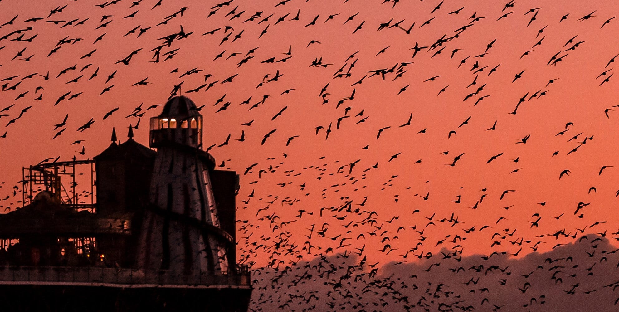 Σμήνος πουλιών στο ηλιοβασίλεμα