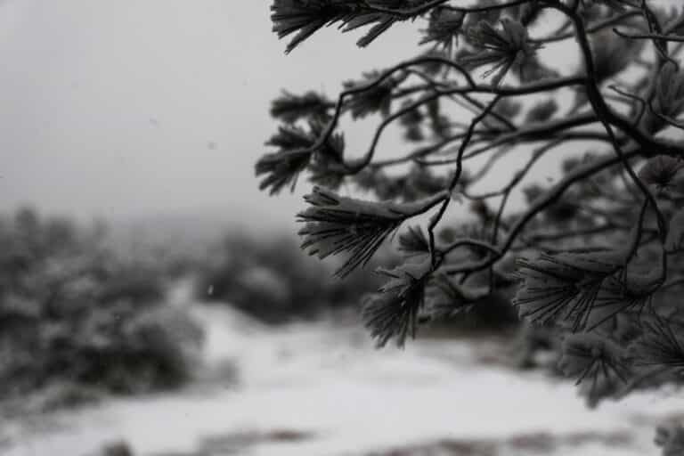 Μeteo: Υποχωρεί σταδιακά η κακοκαιρία «Ελπίς» – Πού θα συνεχίσει το χιόνι