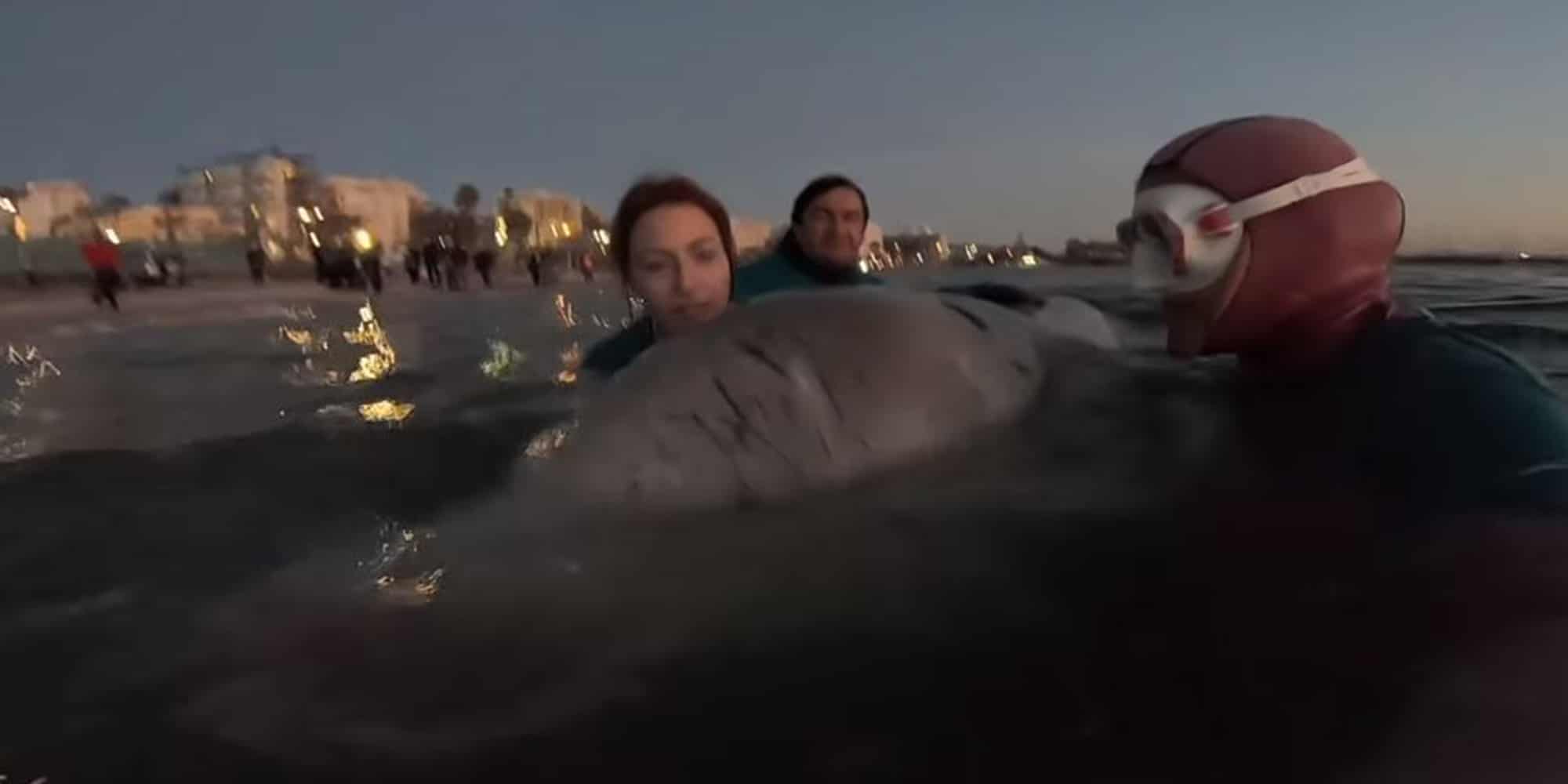 Η εθελόντρια Τάνια Δράκου, μαζί με τη φάλαινα στα νερά του Αλίμου