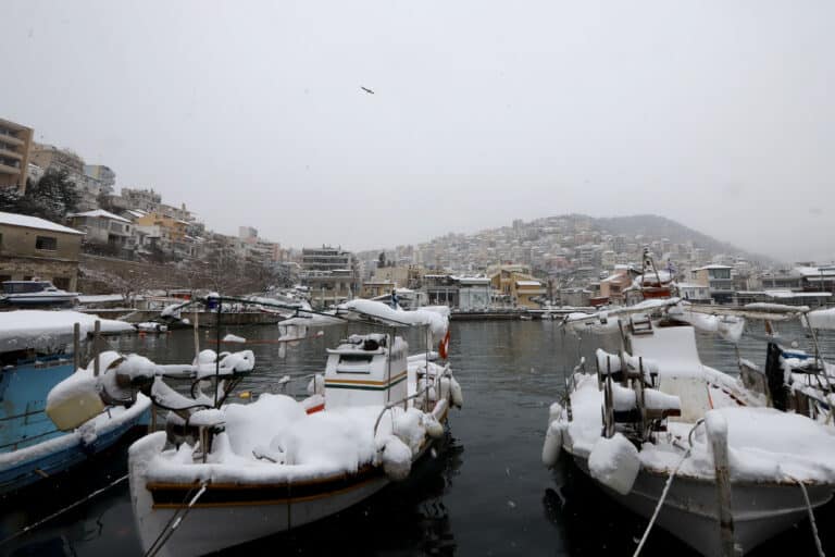 Το χιόνι έφτασε έως την θάλασσα στην Εύβοια