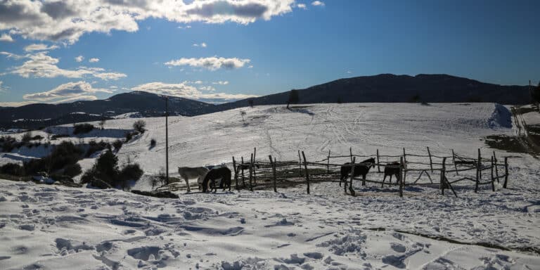 Η κακοκαιρία Ελπίς έντυσε στα λευκά τη βόρεια Ελλάδα – Παγωνιά και θερμοκρασίες ως -9 βαθμούς (εικόνες & βίντεο)