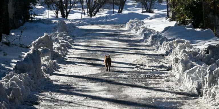 Έρχεται νέα κακοκαιρία με καταιγίδες και χιόνια το Σαββατοκύριακο – Ποιες περιοχές θα χτυπήσει