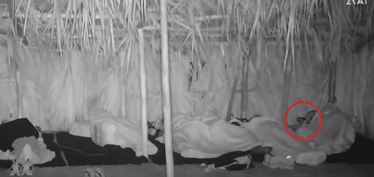 Survivor: Ποντίκι έπεσε στο κεφάλι του Απόστολου Ρουβά (βίντεο)