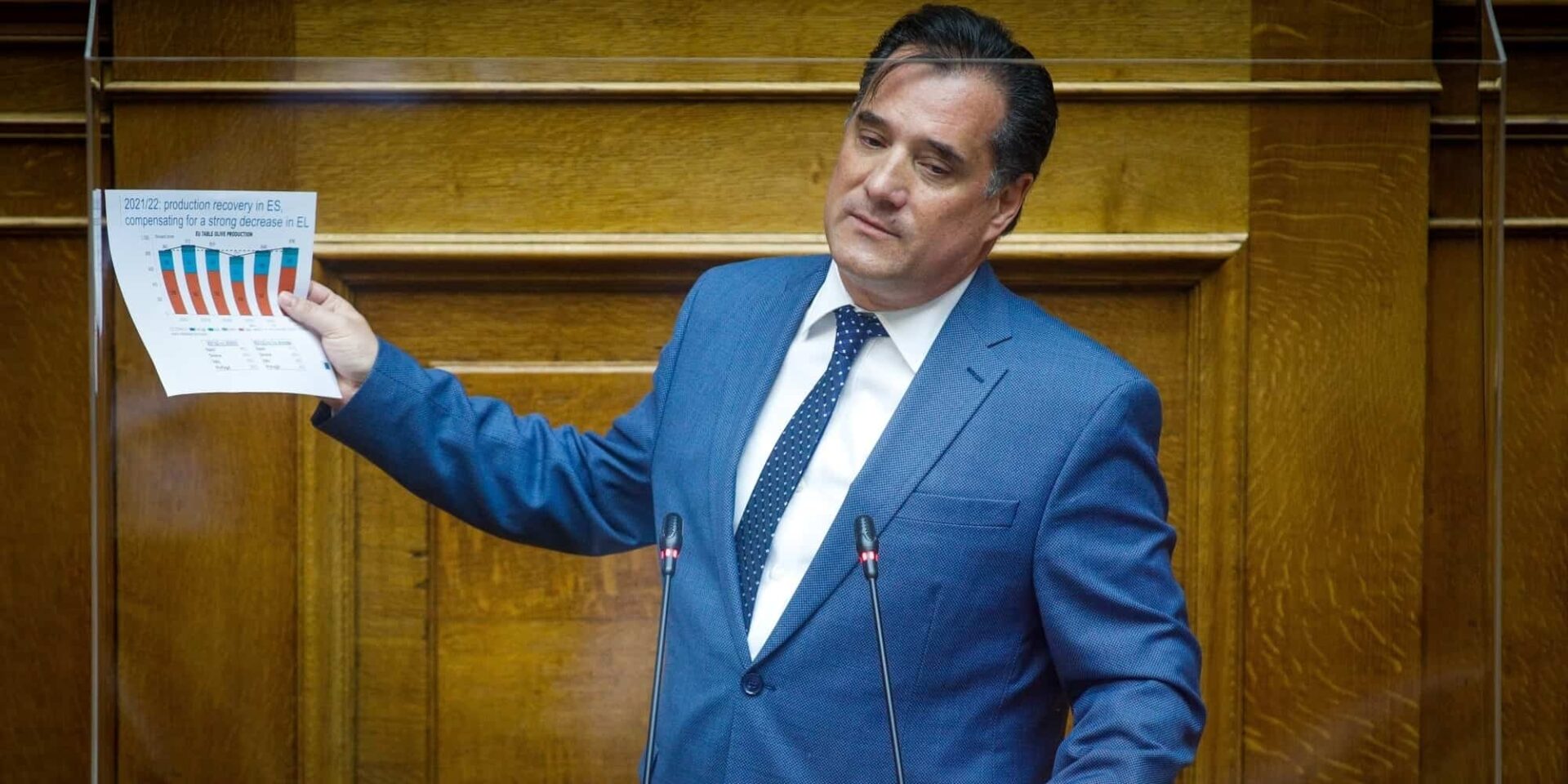 Ο Άδωνις Γεωργιάδης