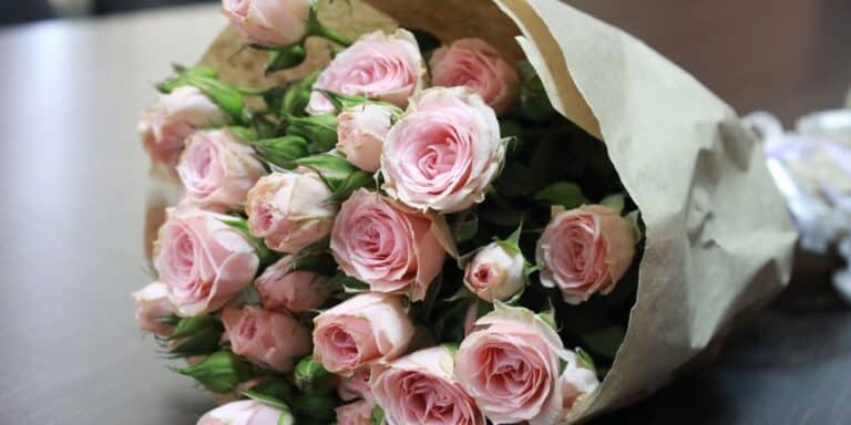 Εορτολόγιο: Ποιοι γιορτάζουν σήμερα 10 Φεβρουαρίου