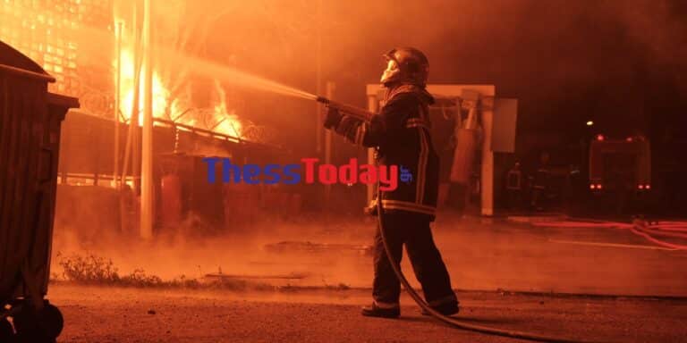 Θεσσαλονίκη: Μεγάλη φωτιά στα Διαβατά – Δίνει μάχη η Πυροσβεστική (εικόνα & βίντεο)
