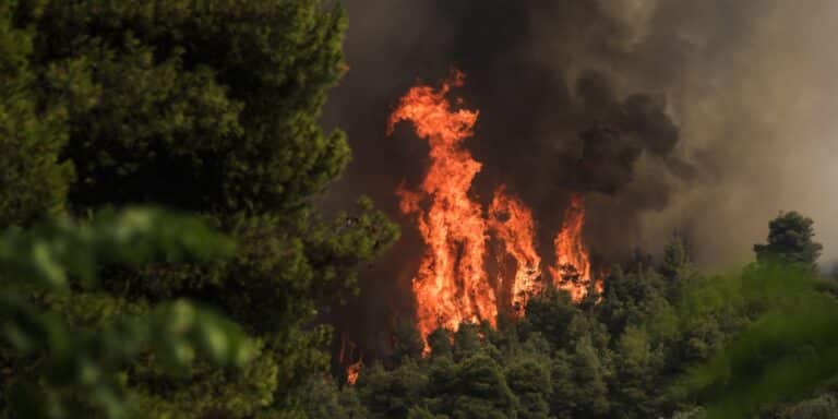 Προειδοποίηση ΟΗΕ για αύξηση 30% των δασικών πυρκαγιών μέχρι το τέλος του 2050 λόγω κλιματικής αλλαγής
