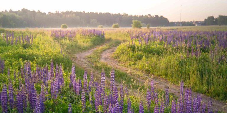 Ο πλανήτης ξοδεύει 1,8 τρισ. δολάρια κάθε χρόνο σε επιδοτήσεις που βλάπτουν το περιβάλλον