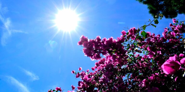 Καιρός: Ηλιόλουστο θα είναι το Σαββατοκύριακο με μικρή άνοδο της θερμοκρασίας