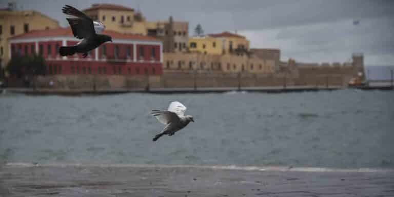 Χανιά: Και το 2022 «ανοιχτά πανιά» στον πολιτισμό