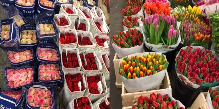 Θεσσαλονίκη: Οι βιτρίνες των ανθοπωλείων γέμισαν με 150.000 κόκκινα τριαντάφυλλα για τον Άγιο Βαλεντίνο