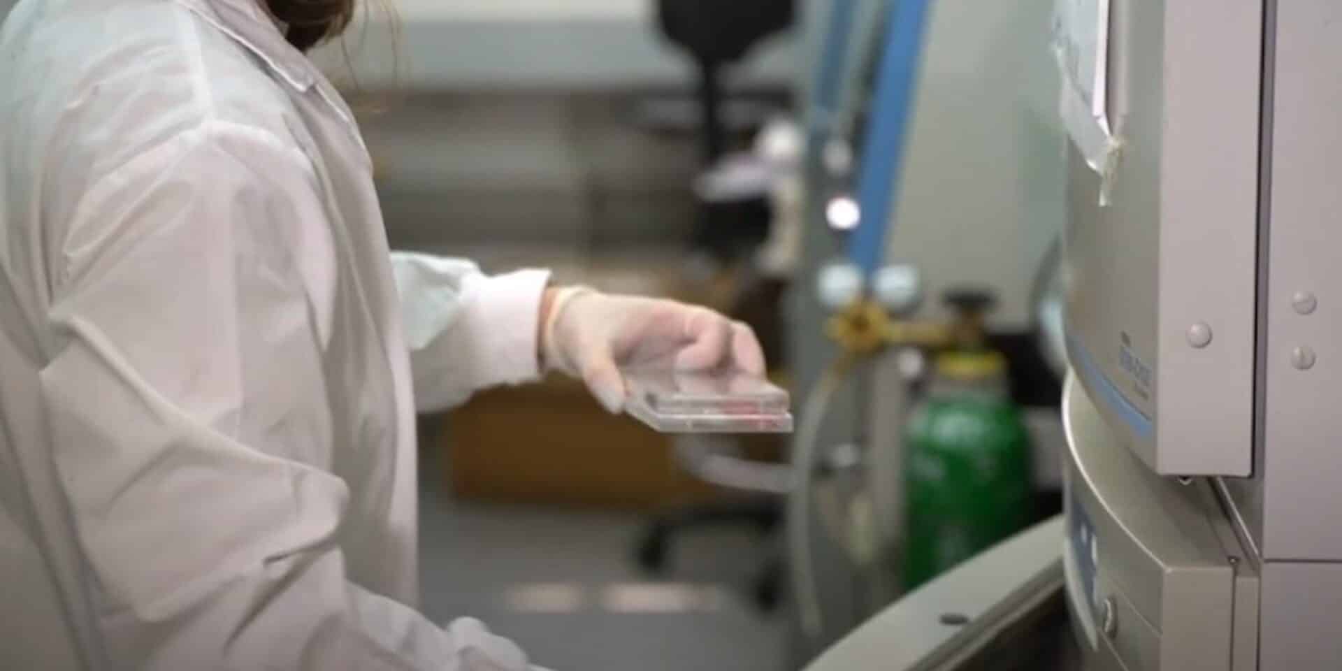 Στιγμιότυπο από την έρευνα για τα βιοτεχνολογικά εμφυτεύματα σπονδυλικής στήλης