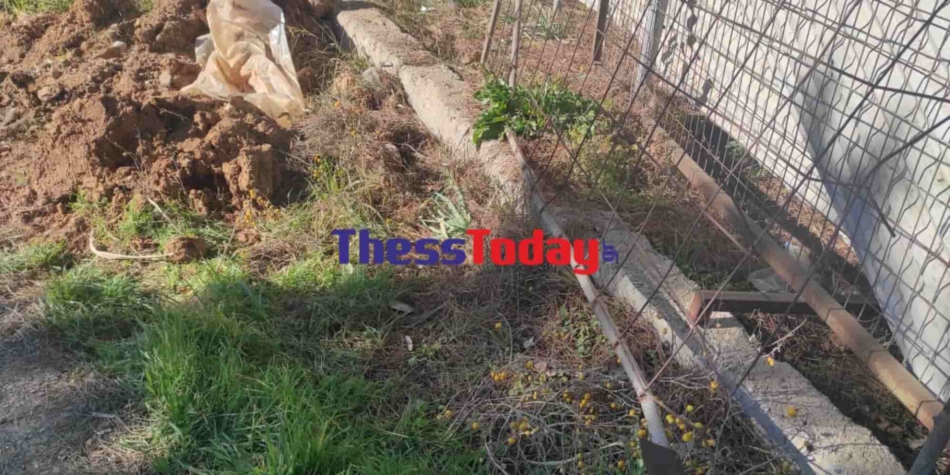 Το σημείο που βρέθηκε νεκρό το μωρό στη Θεσσαλονίκη
