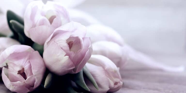 Εορτολόγιο: Ποιοι γιορτάζουν σήμερα 12 Φεβρουαρίου