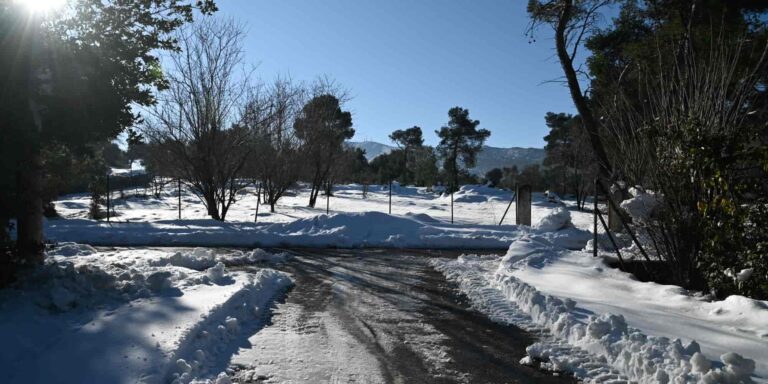 Καιρός: Παγετός στα ηπειρωτικά – Στους -6,3 βαθμούς Κελσίου έπεσε η θερμοκρασία στη Φλώρινα