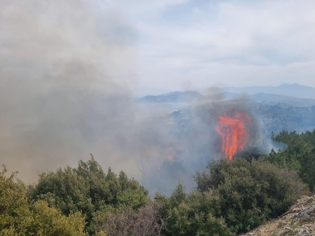 Μεγάλη φωτιά σε δασική έκταση στη Σάμο - Εκκενώνεται προληπτικά ο οικισμός Βουρλιώτες (εικόνες & βίντεο)