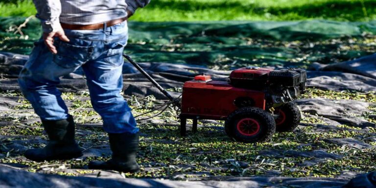 e-ΕΦΚΑ: Παρατείνεται η ασφαλιστική ικανότητα για ελεύθερους επαγγελματίες και αγρότες