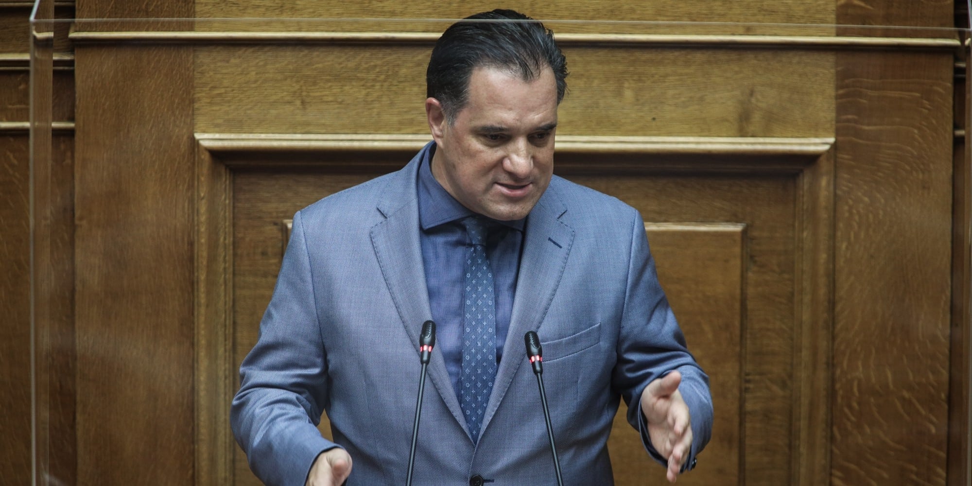 Ο Άδωνις Γεωργιάδης στο βήμα της Βουλής