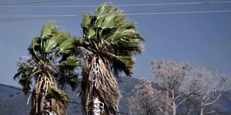 Καιρός: «Σηκώνει» αέρα το βράδυ της Παρασκευής