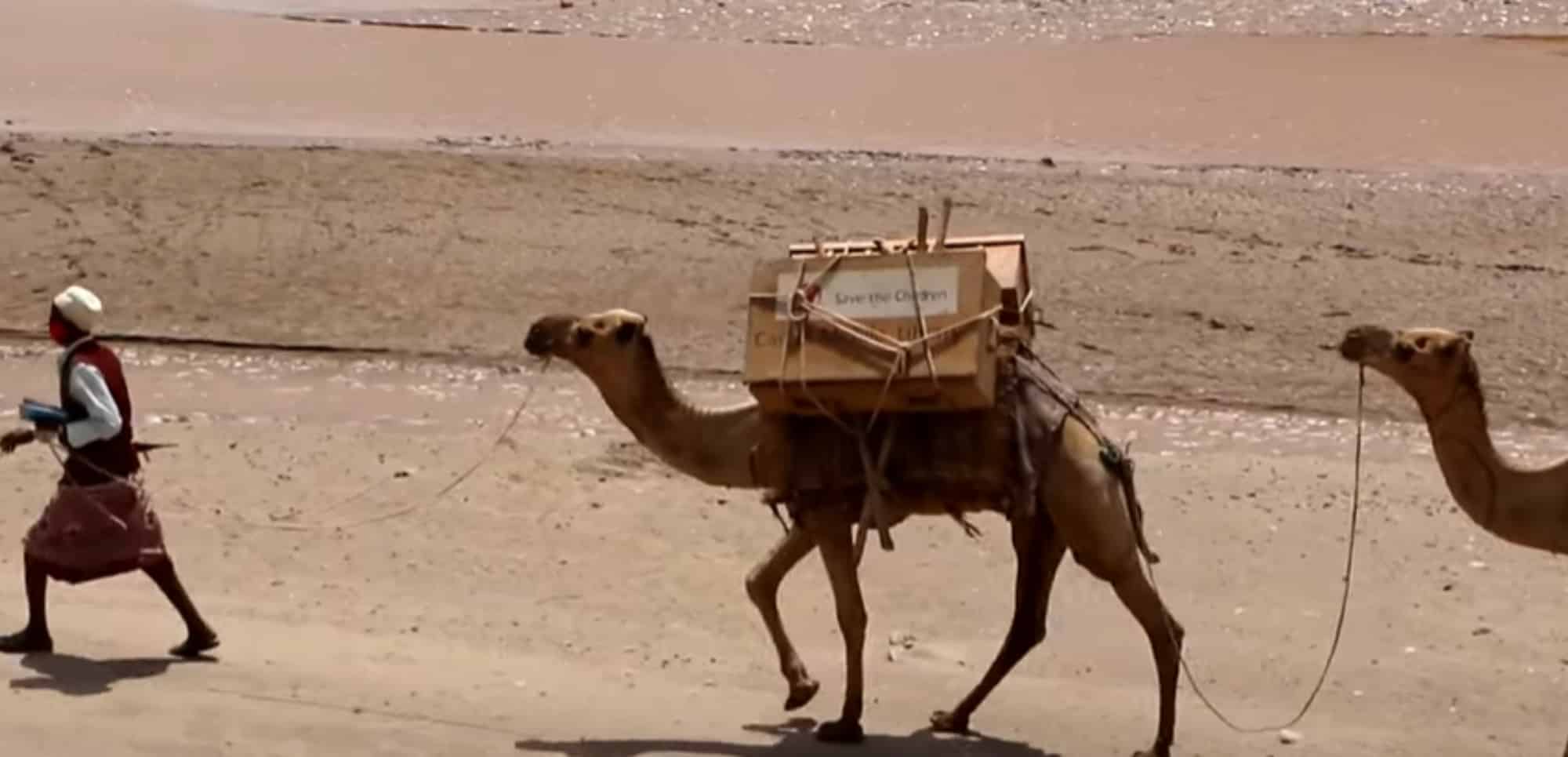 Καμήλες που μεταφέρουν ebooks σε παιδιά στην Αιθιοπία