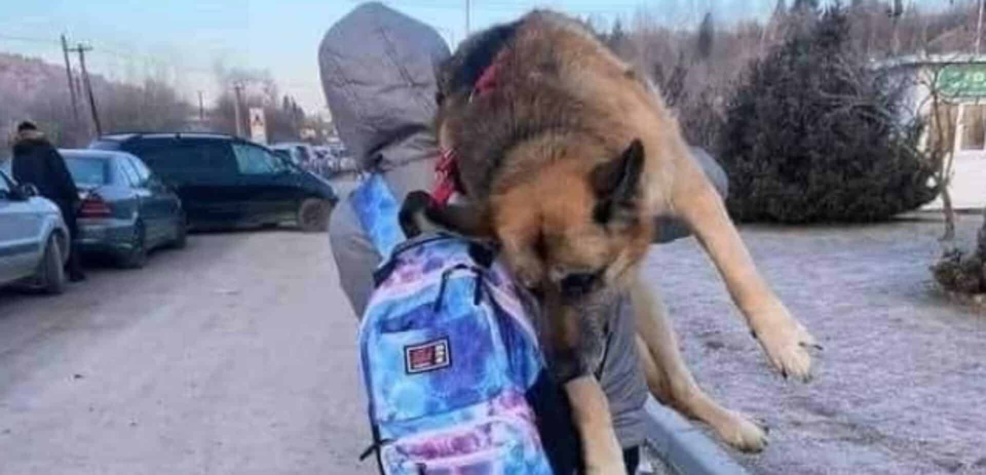 H Alisa κουβαλάει τον σκύλο της