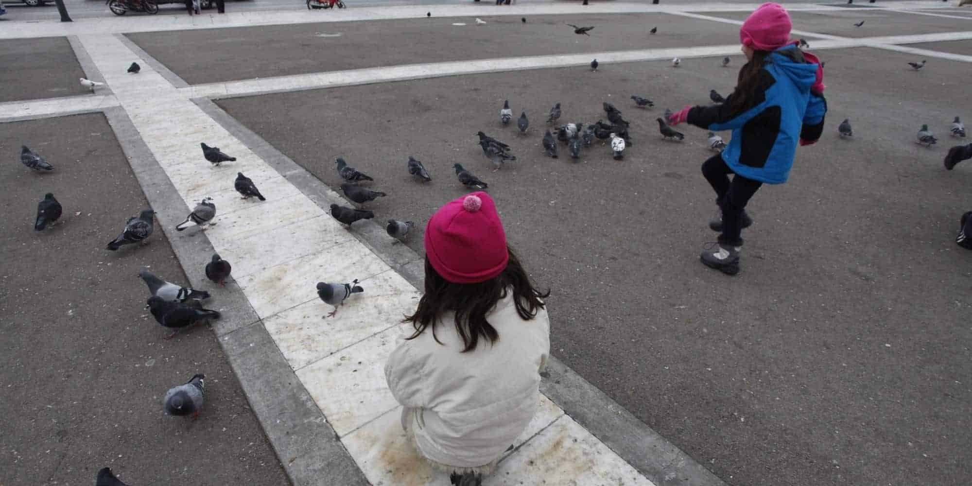 Παιδιά ταΐζουν περιστέρια στο Σύνταγμα