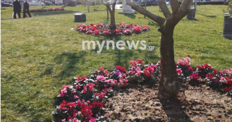 Θεσσαλονίκη: Άγνωστοι ξήλωσαν τις ταμπέλες με τα ονόματα θυμάτων οπαδικής βίας από το πάρκο αθλητικής φιλίας