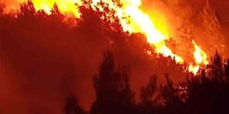 Ηλεία: Αναζωπυρώθηκε το μέτωπο της φωτιάς – Φτάνει στα πρώτα σπίτια (βίντεο)