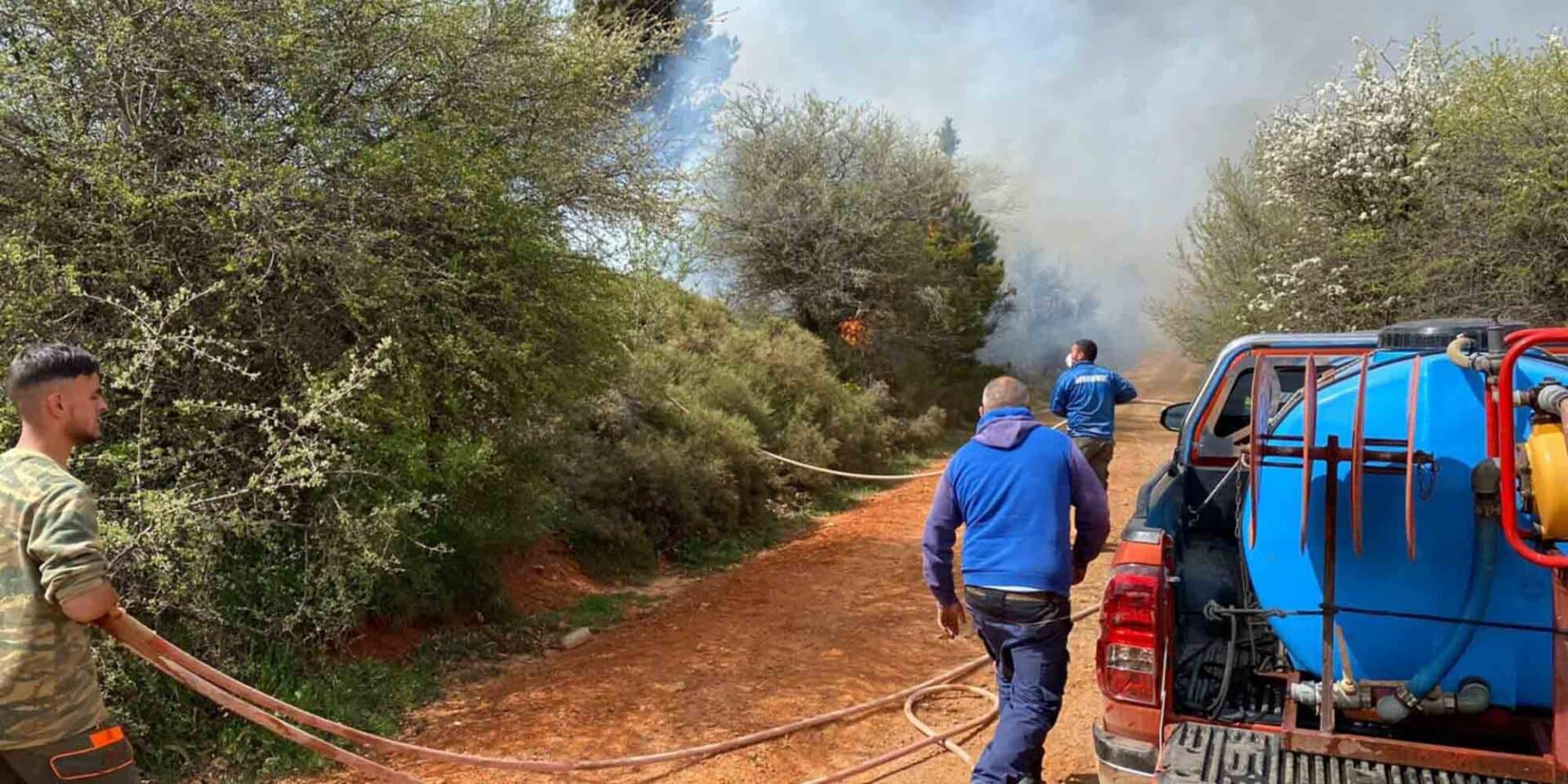 Φωτιά στη Λακωνία