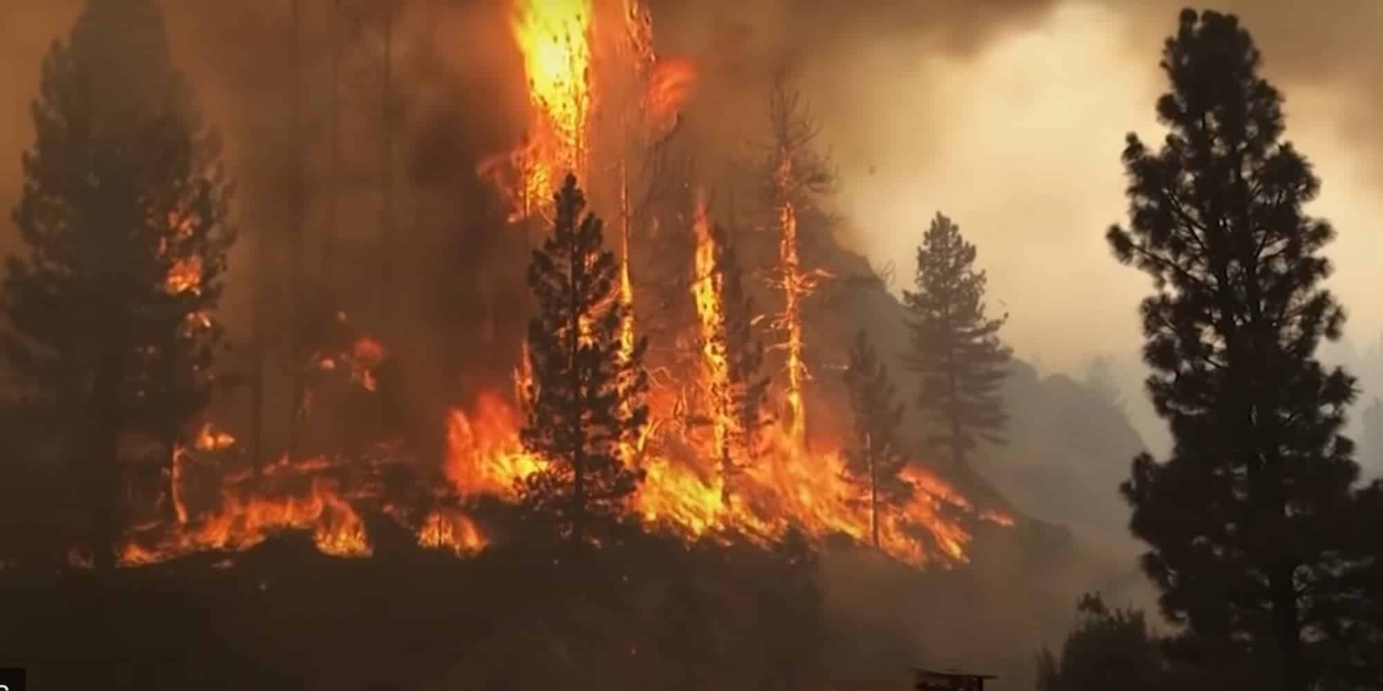 Πυρκαγιά σε δασική έκταση στο Νέο Μεξικό