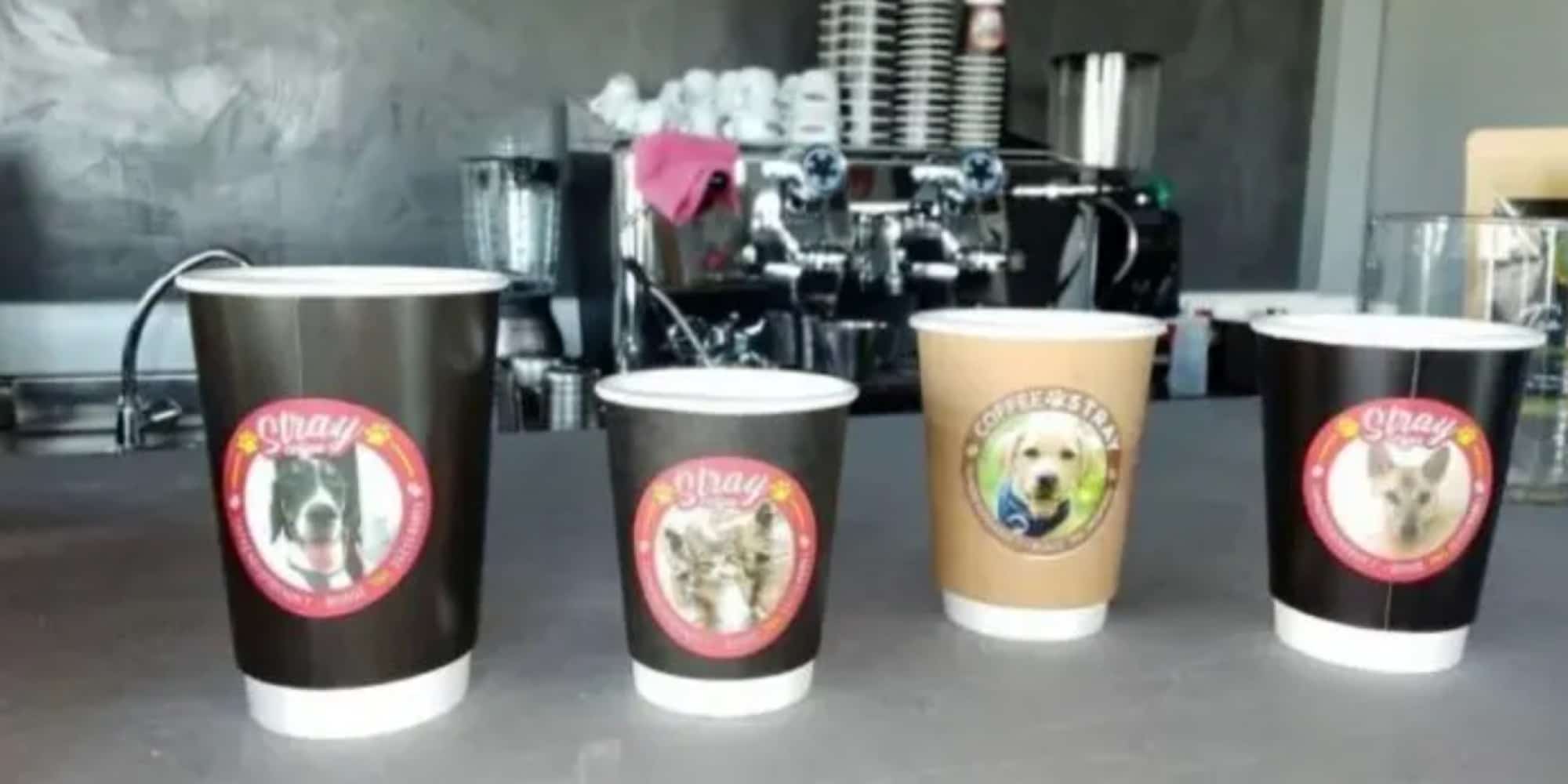 Καφετέρια στον Βόλο τυπώνει στα ποτήρια της τα σκυλάκια που χρειάζονται σπίτι