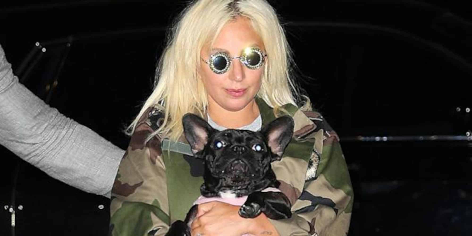 H Lady Gaga με έναν από τους σκύλους της
