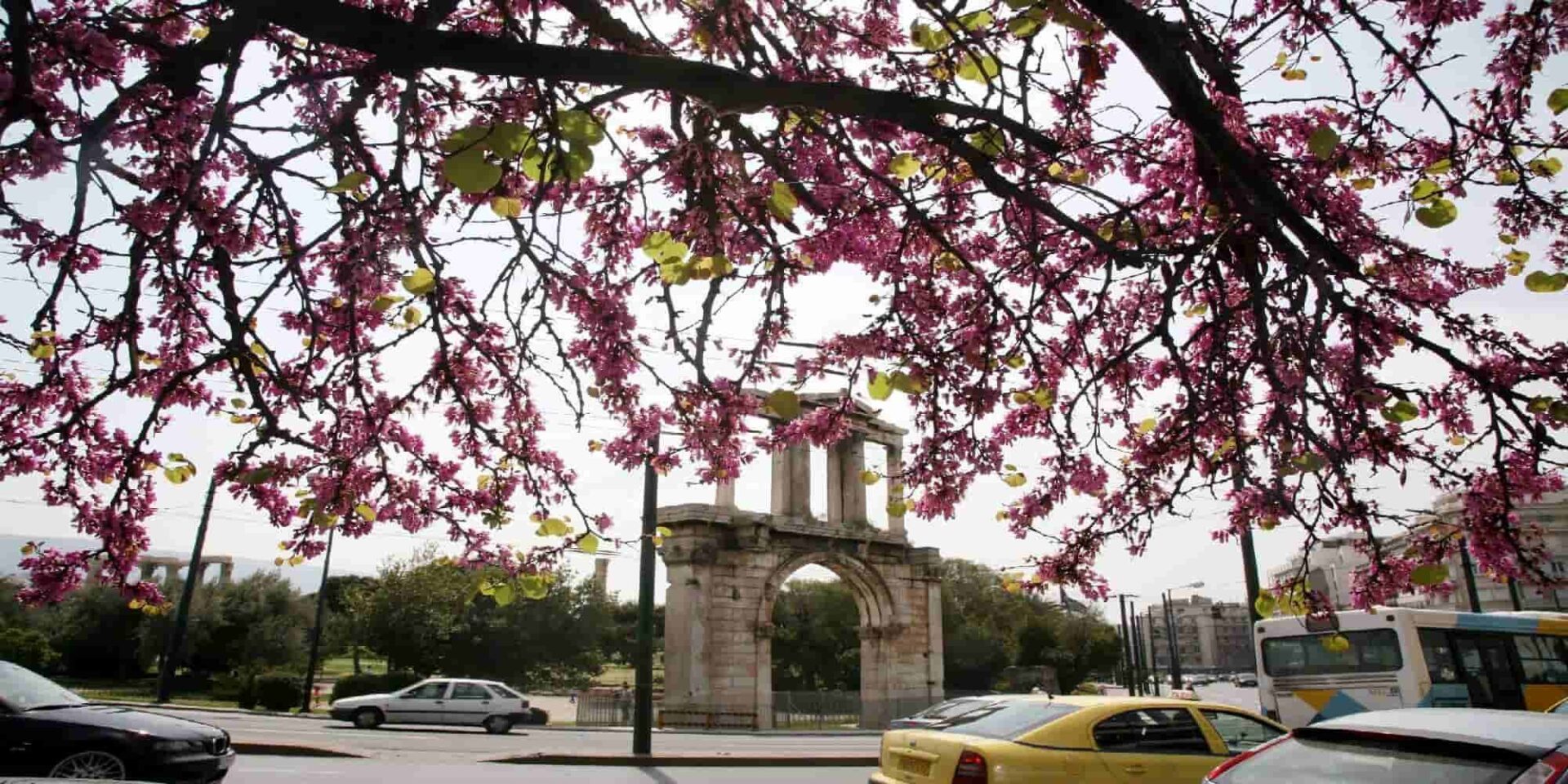Στύλοι του Ολυμπίου Διός