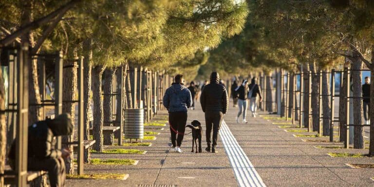 Κορονοϊός: 62 θάνατοι, 18.425 νέα κρούσματα και 365 διασωληνωμένοι