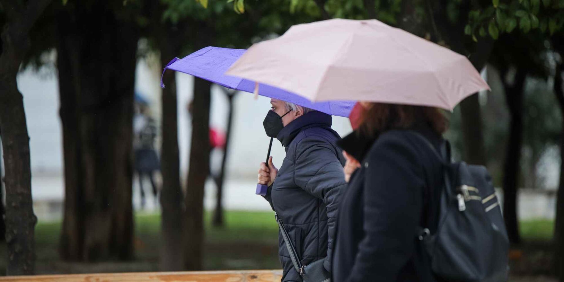 Κόσμος με ομπρέλες στο Σύνταγμα